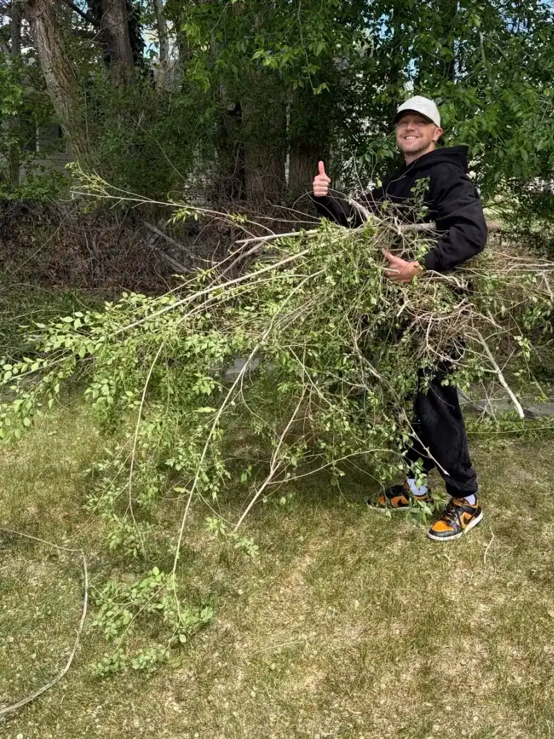 A large armful of cut branches being carried clear of a lawn