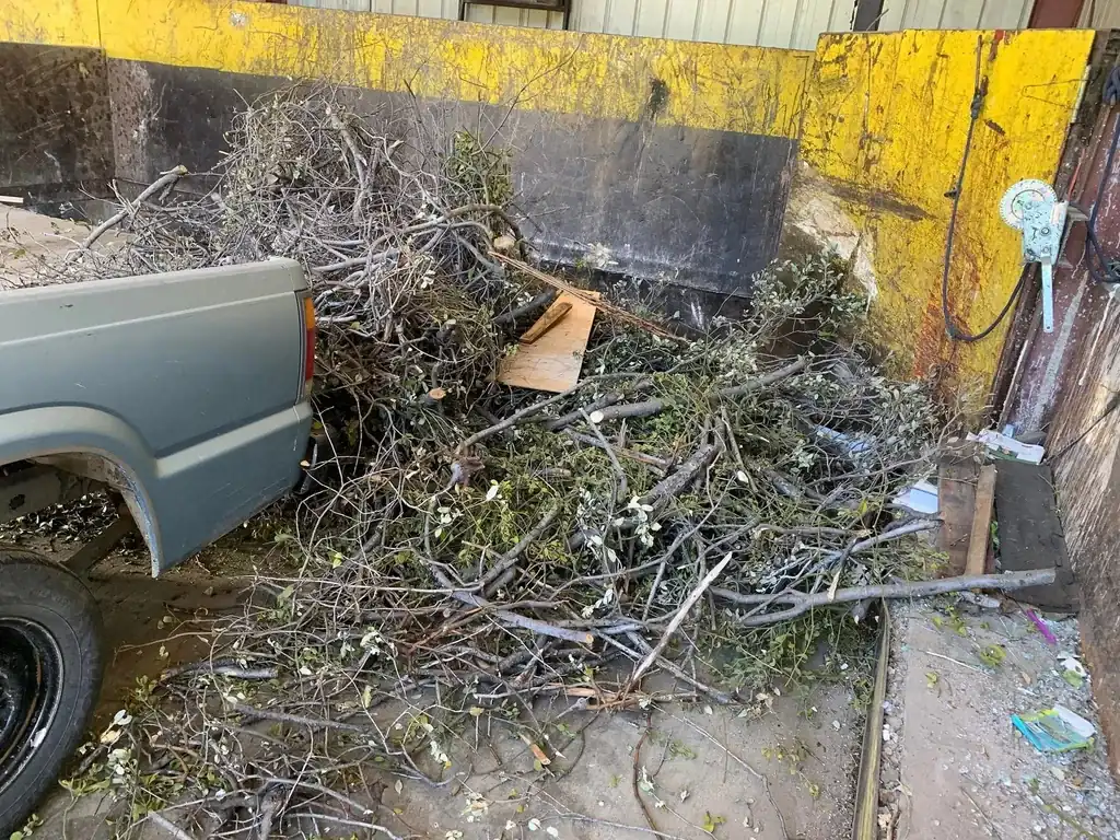 Unloading a truck bed of branches and brush at a transfer station