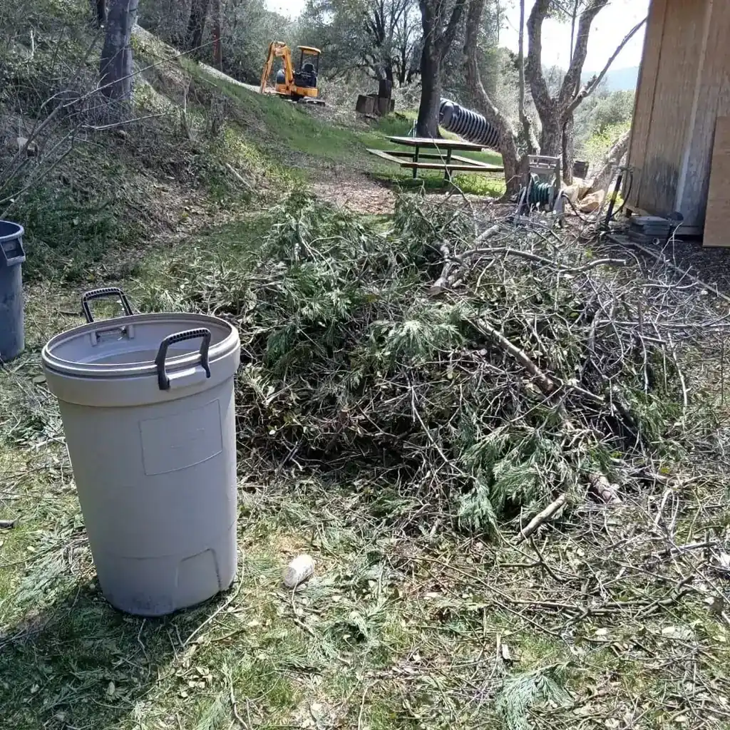 The same lawn after the brush, branches and boards were cleared