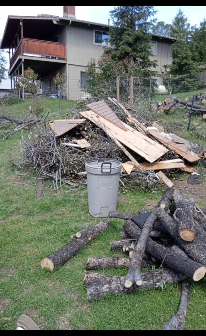 Brush, scrap lumber and cut logs stacked on a lawn for removal