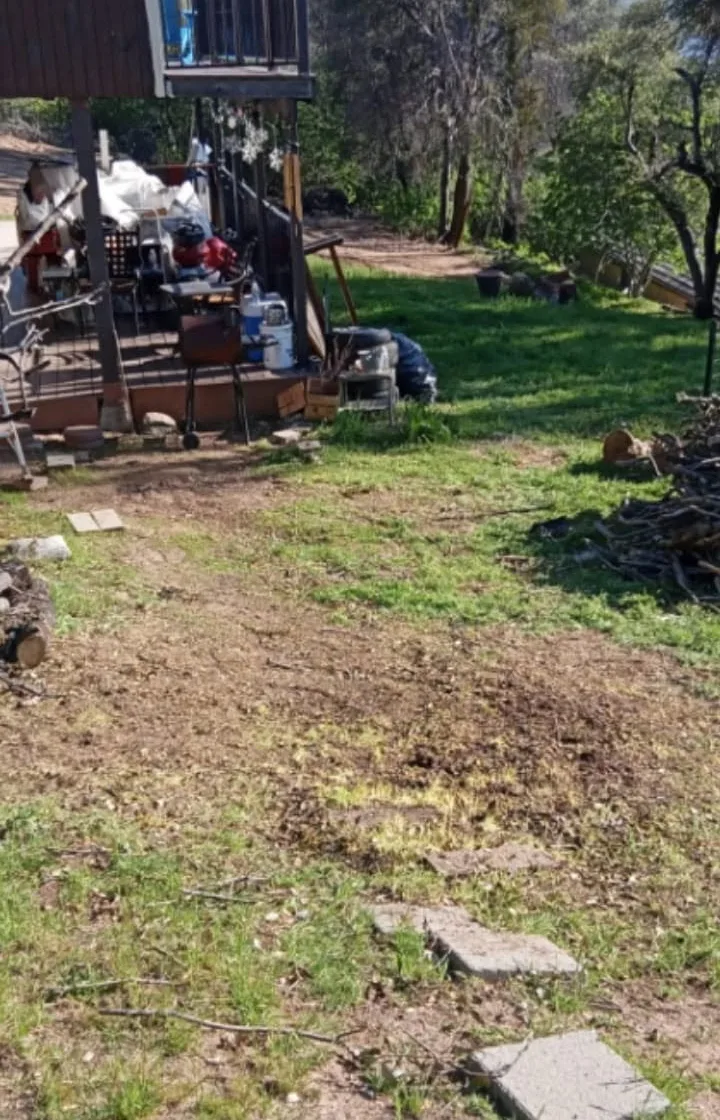 A cleared yard with the brush and cut wood taken away