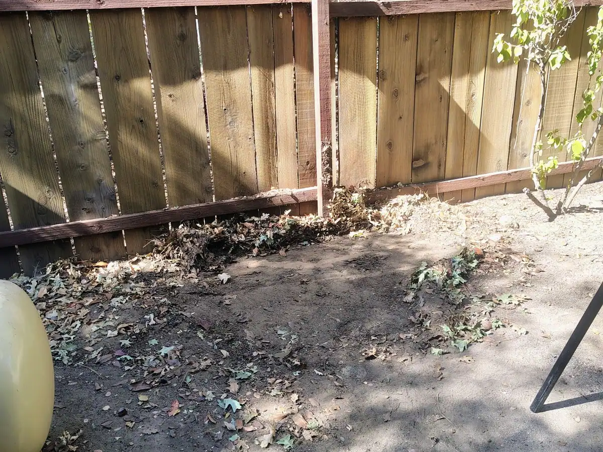 The same side yard after the work: bare ground along the fence with only fallen leaves left