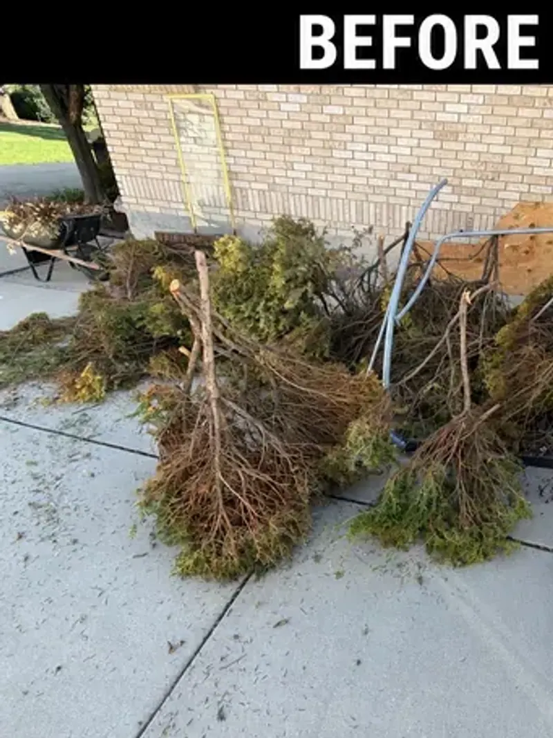 A patio piled with uprooted shrubs; cardboard boxes and metal poles; and the same patio swept clear