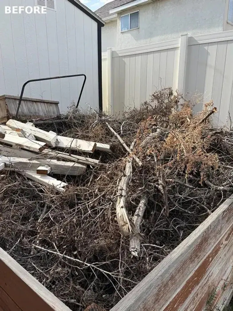 A raised planter bed filled with dead brush; roots and broken boards; and the same bed cleared to bare soil