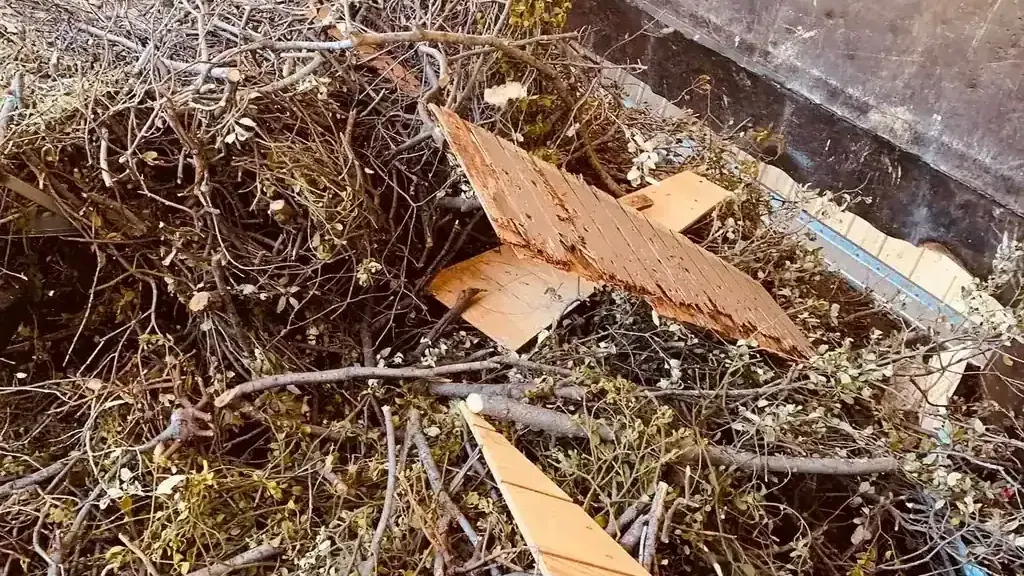 Branches and scrap wood dumped into the green waste bay at a transfer station