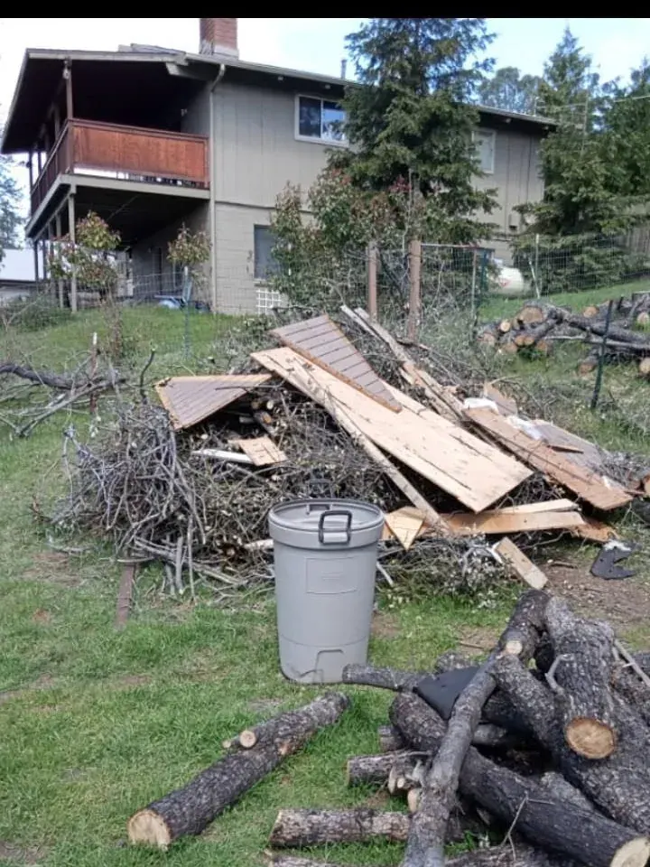 Brush; scrap lumber and cut logs stacked on a lawn for removal