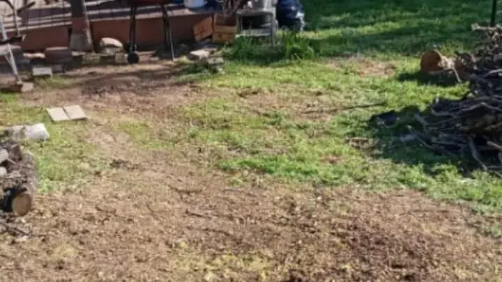 A cleared yard with the brush and cut wood taken away