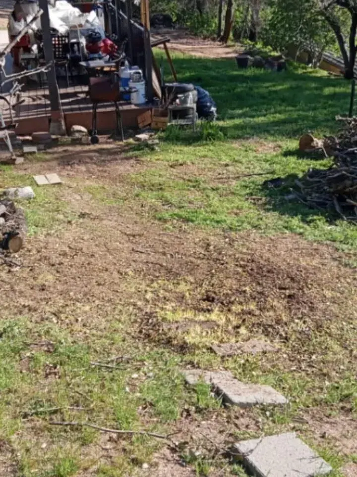 A cleared yard with the brush and cut wood taken away
